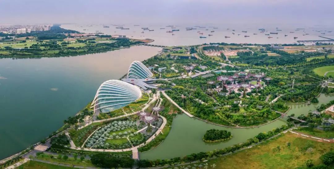 合肥新加坡花园城市图片