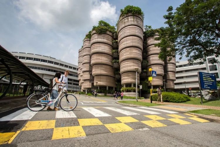 外事邦,海外留学平台,新加坡六大公立大学,新加坡硕士申请条件