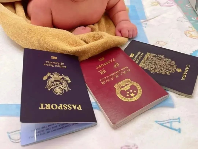 外事邦,如何拥有多本护照,如何办理多本护照,多国护照